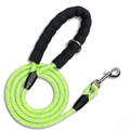 Pet dog walking leash