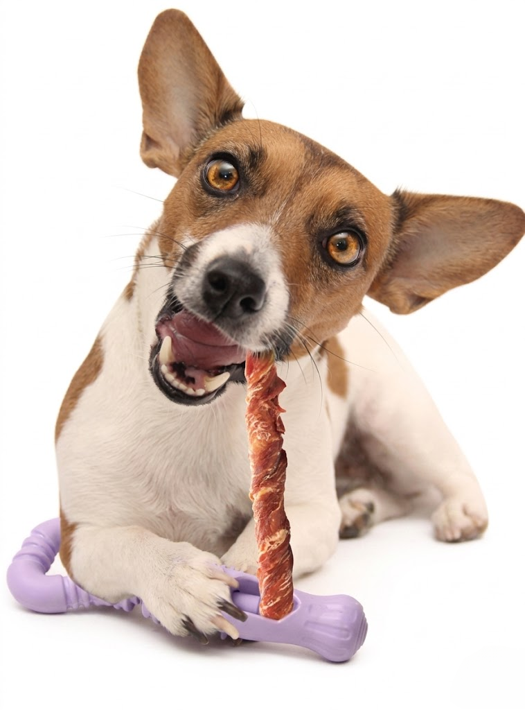 Rotating Treat &amp; Chew Security Holder
